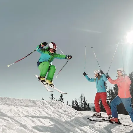 Living Schoenwies With Private Infrared And Zell Am Kaprun Summercard *