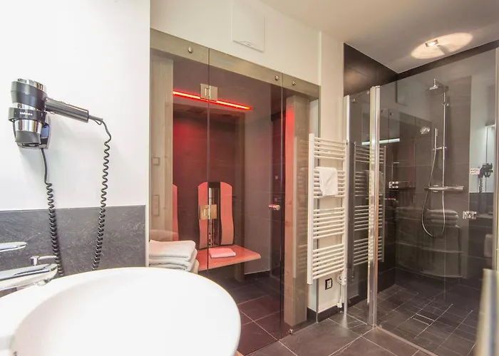 Appartement Living Schoenwies Apartments With Private Infrared Cabin And Zell Am See Kaprun Summercard *