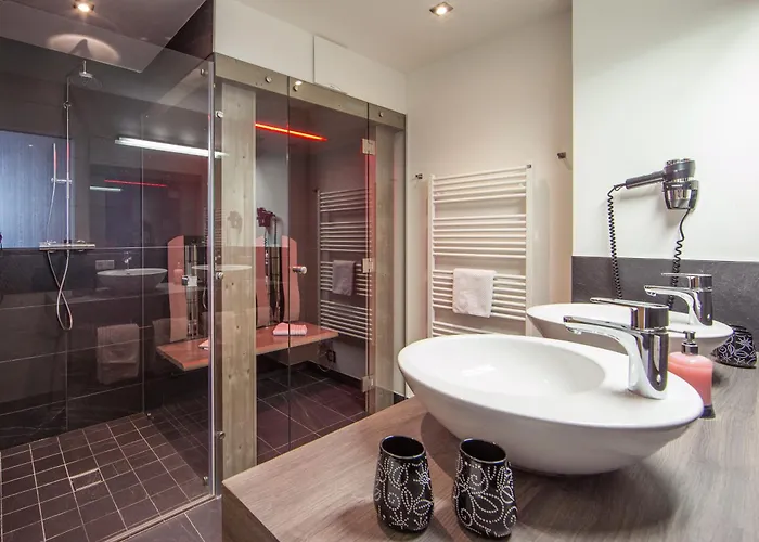Apartamento Appartement Living Schoenwies Apartments With Private Infrared Cabin And Zell Am See Kaprun Summercard