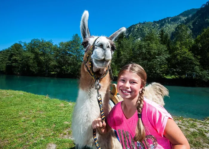Appartement Living Schoenwies Apartments With Private Infrared Cabin And Zell Am See Kaprun Summercard Apartamento *