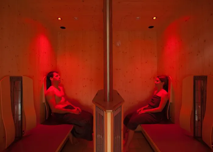 Apartamento Appartement Living Schoenwies Apartments With Private Infrared Cabin And Zell Am See Kaprun Summercard